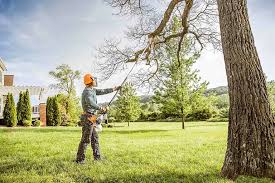 Reliable East Merrimack, NH  Tree Services Solutions